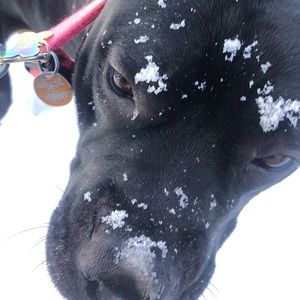 Meet your Posher, Connor